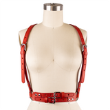 THE DRACO HARNESS