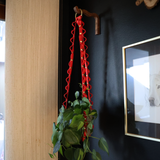 Biothane Bubble Plant Hanger