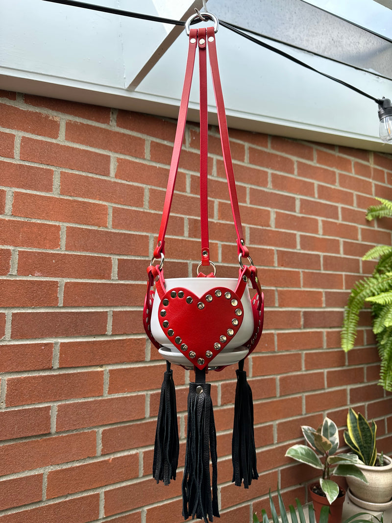 Medium Plant Hanger 04
