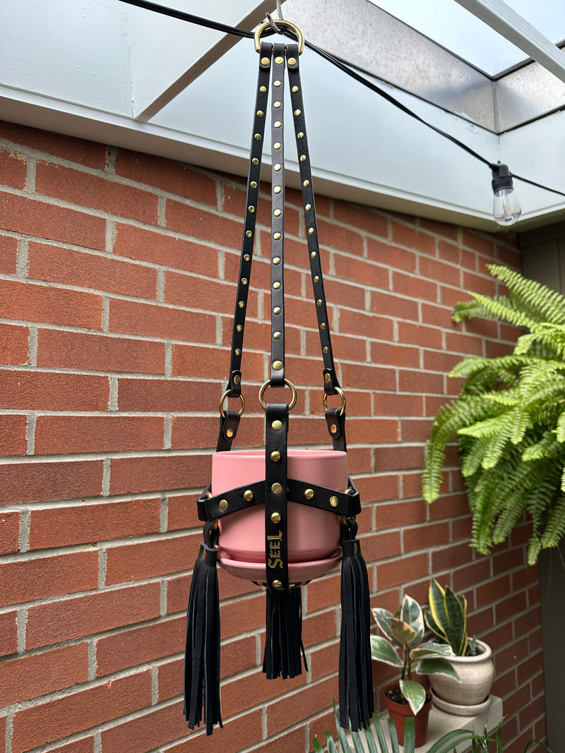 Medium Plant Hanger 02