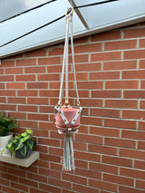 Small Plant Hanger 10