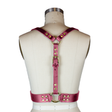 THE DRACO HARNESS - PINK