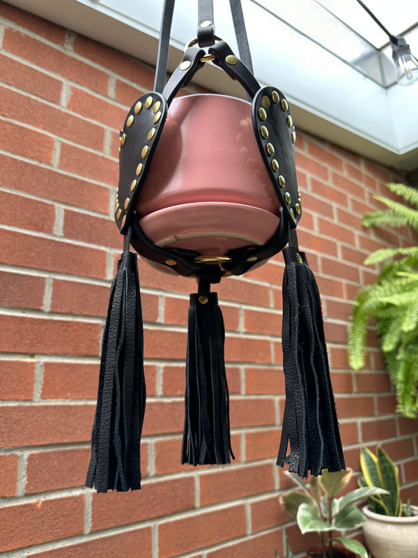 Medium Plant Hanger 09