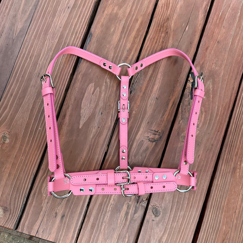 THE DRACO HARNESS - PINK